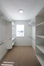 Walk in closet with carpet flooring