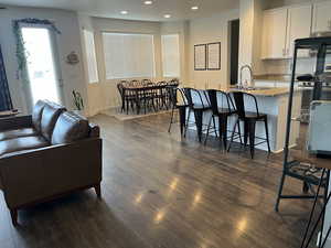 Living room with sink and dark wood-type flooring