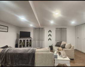 Living room featuring wood-type flooring