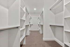 Spacious closet featuring light colored carpet