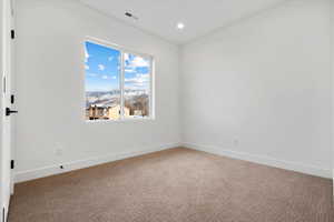 View of carpeted spare room