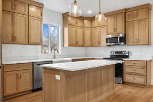 Kitchen featuring a center island, sink, hanging light fixtures, light hardwood / wood-style floors, and stainless steel appliances