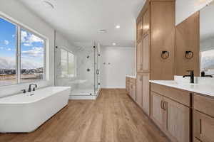 Bathroom with plenty of natural light, separate shower and tub, and wood-type flooring