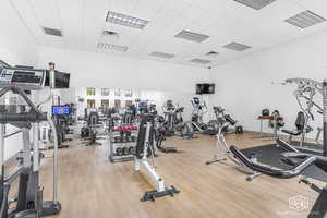 Exercise room with light hardwood / wood-style flooring and a drop ceiling