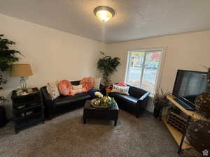 Carpeted living room featuring a textured ceiling