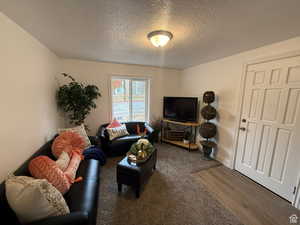 Living room featuring a textured ceiling