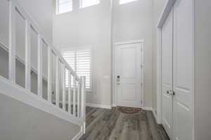 Entrance foyer with dark hardwood / wood-style floors, plenty of natural light, and a towering ceiling