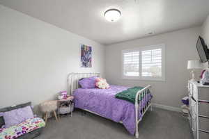 Bedroom with dark carpet