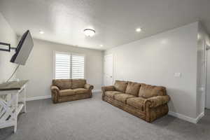 Carpeted living room with a textured ceiling