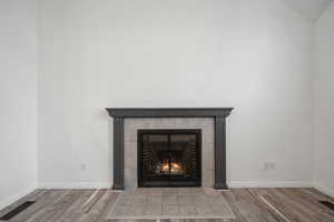 Details featuring wood-type flooring and a fireplace