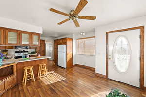 Entrance foyer with ceiling fan and dark wood-type flooring