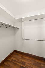 Walk in closet featuring dark wood-type flooring