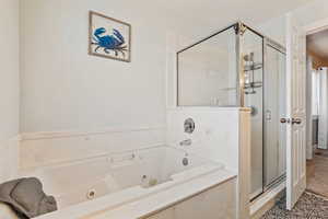 Primary bathroom with shower with separate bathtub