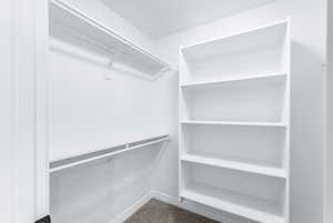 Walk in closet with carpet flooring