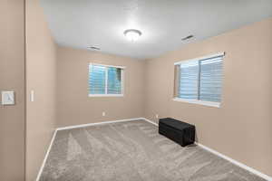 Carpeted empty room with a textured ceiling