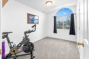 Exercise room with carpet flooring and lofted ceiling