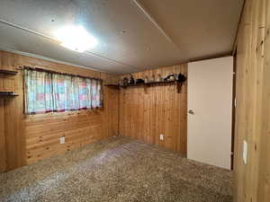 Basement featuring carpet floors, a textured ceiling, and wooden walls