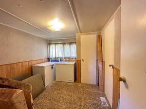 Washroom featuring carpet flooring, wood walls, and washing machine and clothes dryer