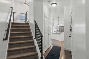 Staircase with a wealth of natural light, ceiling fan, and wood-type flooring