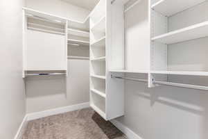 Spacious closet with carpet