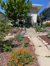 Summer View of yard