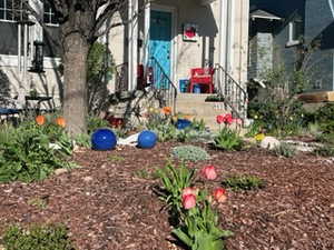 Summer View of yard