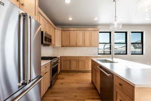 Kitchen with pendant lighting, high end appliances, sink, light hardwood / wood-style flooring, and decorative backsplash