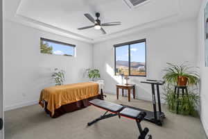 Bedroom with a mountain view, ceiling fan, light carpet, and a tray ceiling