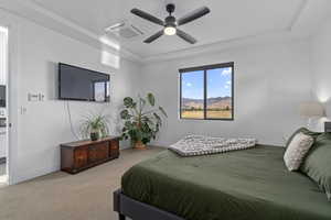 Carpeted bedroom featuring a raised ceiling and ceiling fan