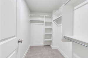 Spacious closet featuring light carpet