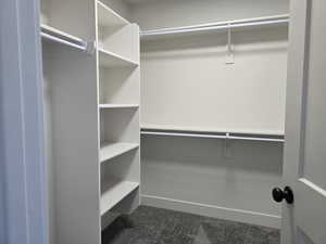 Spacious closet featuring dark colored carpet