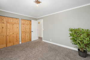 Unfurnished bedroom with multiple closets, crown molding, and carpet