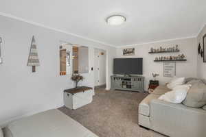 Living room with carpet floors and ornamental molding