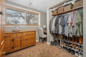 Walk in closet featuring light carpet