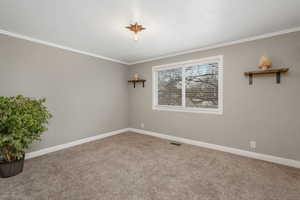 Spare room featuring carpet flooring and ornamental molding