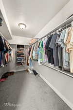 Spacious closet with carpet flooring