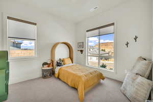 Bedroom featuring multiple windows and light colored carpet