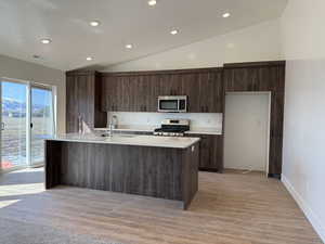 Kitchen featuring modern cabinets, a sink, stainless steel appliances, lofted ceiling, and dark brown cabinets