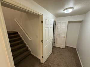 Interior space with a textured ceiling and carpet floors