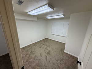 Basement featuring carpet flooring and a textured ceiling