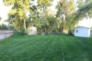 View of yard with a storage unit