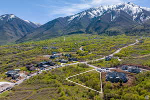 Bird's eye view featuring a mountain view