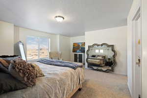 Primary bedroom featuring east views, ample natural light, primary en-suite and walk-in closet