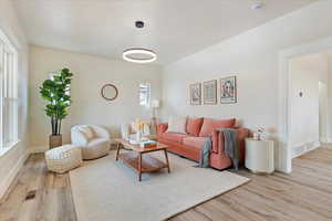 Living room with light wood-type flooring and a wealth of natural light