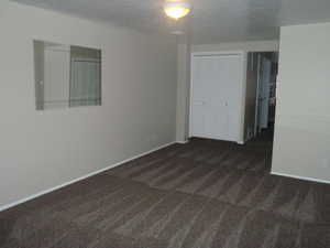 Carpeted spare room featuring a textured ceiling