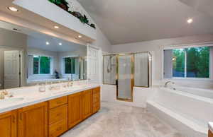 Bathroom featuring a wealth of natural light, plus walk in shower, vanity, and lofted ceiling