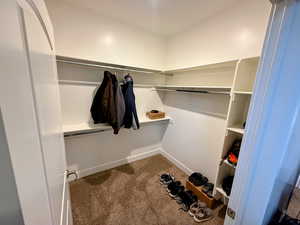 Walk in Closet in Master bedroom