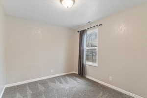 Spare room with carpet flooring and a textured ceiling