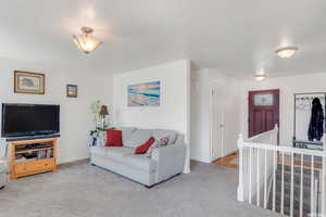 Living room with carpet floors