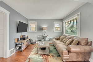 Living room featuring hardwood / wood-style flooring and a wealth of natural light